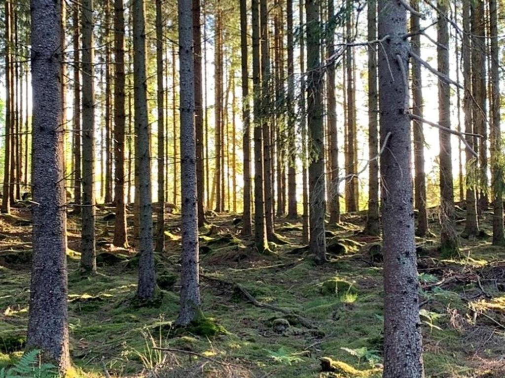 乌拉勒德En Lantlig Idyll Med Skogen Precis Utanfoer Doerren!别墅 外观 照片